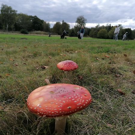 Natureview Hamburg Kültér fotó